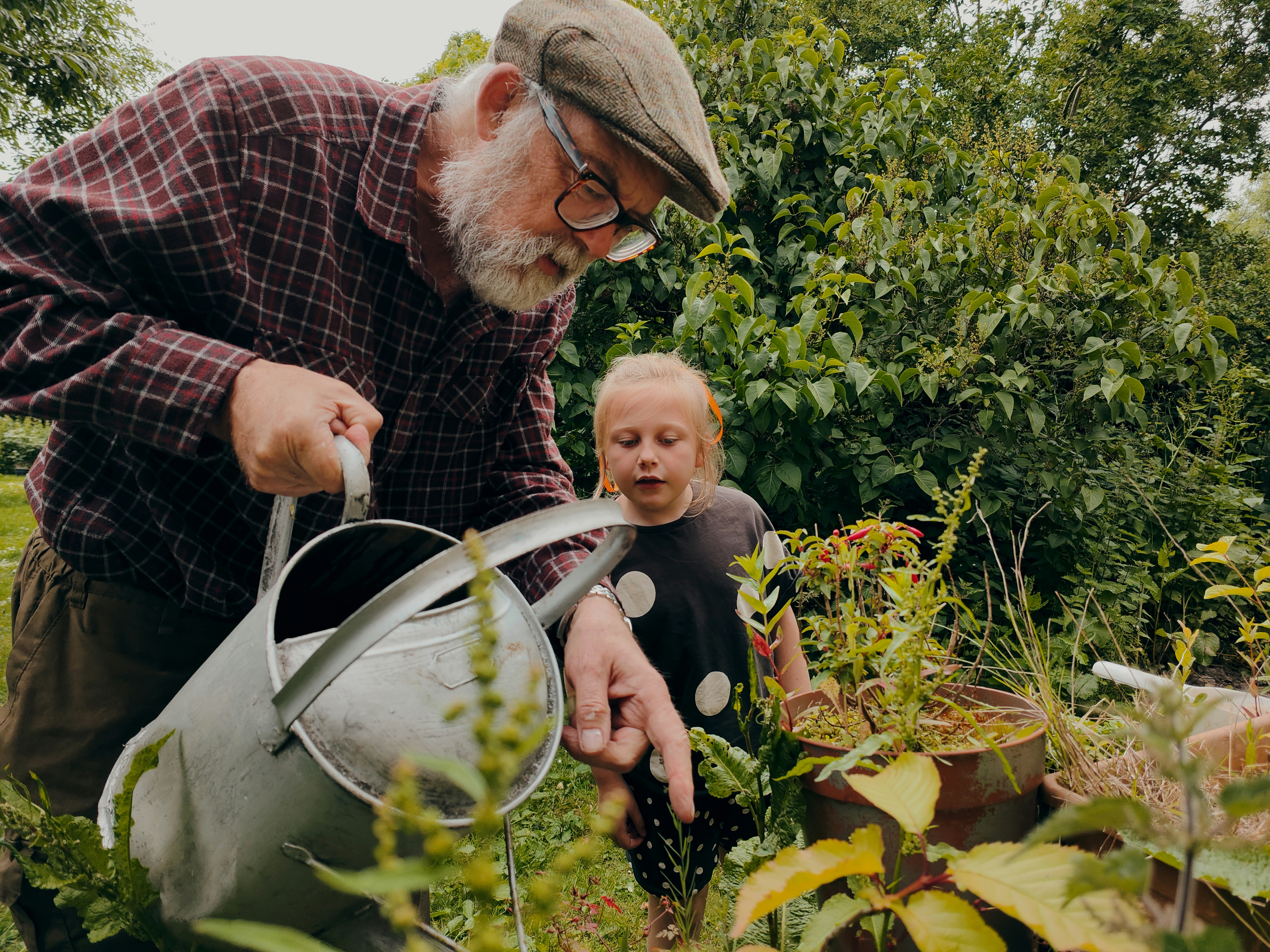 Gardening